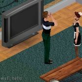 The Sims